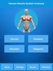 muscle system anatomy ipad images 1