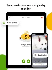 barkio: dog monitor & pet cam ipad images 3