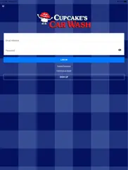 cupcakes car wash ipad images 1
