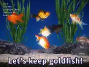 goldfish - aquarium fish tank ipad images 1