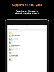 blaze : browser & file manager ipad images 3