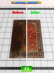 carpet deep cleaning asmr ipad images 3