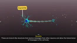 learn neuron iphone images 4