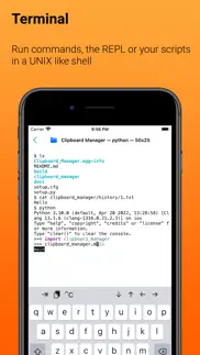 pyto - python 3 iphone images 2