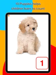 10 puppies ipad images 1