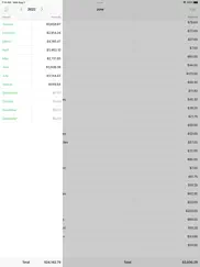 monies expense tracker iPad Captures Décran 2