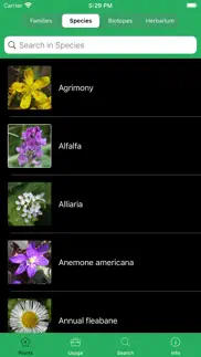 mobile flora - wild flowers iphone bildschirmfoto 4
