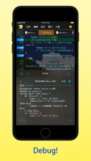 c code develop iphone resimleri 2