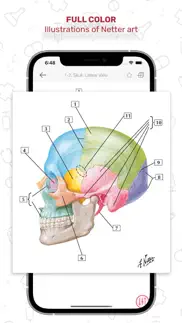 netters anatomy flash cards iphone images 3