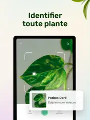 plant parent - guide entretien iPad Captures Décran 2