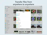 owlfiles - file manager iPad Captures Décran 3