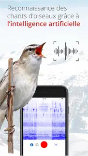 oiseaux de suisse - birdlife iPhone Captures Décran 3