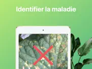 identification plante malade iPad Captures Décran 2