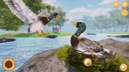 virtual duck life simulator iphone images 1
