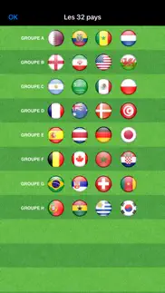 football du monde 2022 iPhone Captures Décran 2