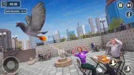 pigeon bird flying simulator iphone images 1
