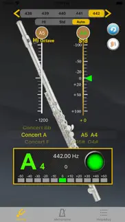 flute tuner - tuner for flute iphone images 1