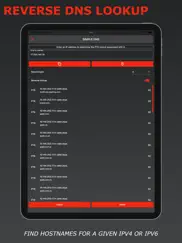 simple dns ipad images 3