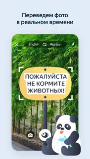Яндекс Переводчик айфон картинки 1