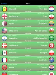 coupe de foot 2022 au qatar iPad Captures Décran 3