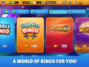 gamepoint bingo ipad images 2
