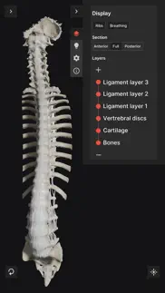 biomechanics of the spine lite iphone capturas de pantalla 1