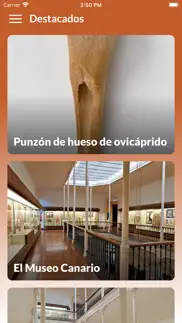 el museo canario iphone images 1