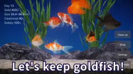 goldfish - aquarium fish tank iphone images 1