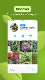 leaf identification iphone images 3