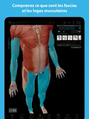 muscles & kinésiologie iPad Captures Décran 4