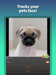 envoie des cartes d’animaux iPad Captures Décran 3