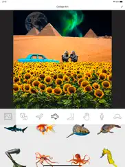 collage art - become an artist ipad capturas de pantalla 2