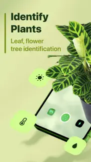 leaf identification iphone resimleri 1