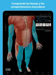 músculos & kinesiología ipad capturas de pantalla 4