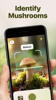 mushroom id - fungi identifier iphone images 1