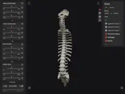 biomechanics of the spine lite ipad capturas de pantalla 1