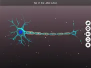 learn neuron ipad images 2