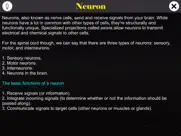 learn neuron ipad images 1