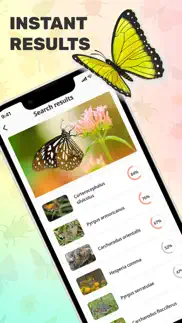bug identifier app iphone images 2