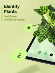 leaf identification ipad images 1