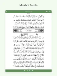 al quran (tafsir & by word) ipad images 3