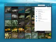 fishes pro - field guide iPad Captures Décran 2