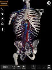 anatomie - atlas 3d iPad Captures Décran 3