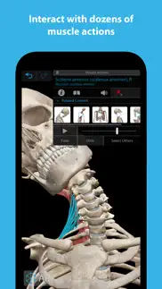 muscles & kinesiology iphone resimleri 3
