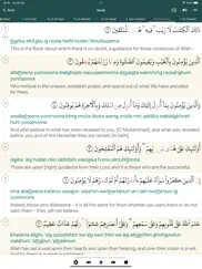 al quran translation ipad bildschirmfoto 2