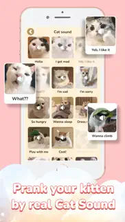 cat simulator super stylist iphone resimleri 2