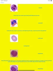 immune cells tutor ipad images 4