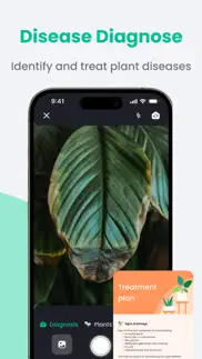 plantin: plant identifier iphone images 2
