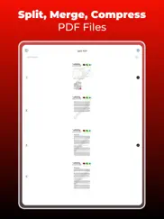 pdf maker - convert to pdf iPad Captures Décran 4