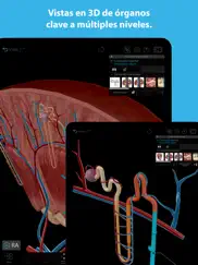 atlas de anatomía humana 2023 ipad capturas de pantalla 2